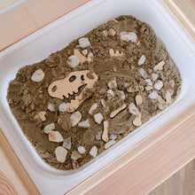 Load image into Gallery viewer, Ikea Trofast / Flisat Dinosaur Dig Insert LARGE LID
